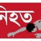 চুয়াডাঙ্গায় অবৈধযান উল্টে একজন নিহত