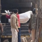 যুক্তরাষ্ট্রে মৃতের সংখ্যা ৯০ হাজার ছাড়ালো