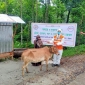 কোস্টগার্ডের সহায়তায় বিদ্যানন্দের ঘর-নৌকায় অসহায়দের মুখে হাসি